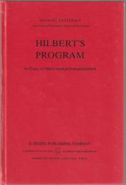 Hilbert's program : an essay on mathematical instrumentalism