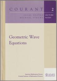 Geometric wave equations.