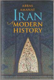 Iran : a modern history.