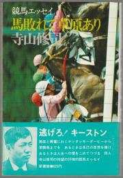 馬敗れて草原あり