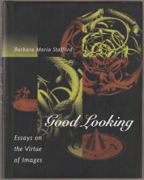 Good looking : essays on the virtue of images.