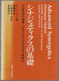 シナジェティクスの基礎 : 不安定性の階層=システムとデバイスの自己組織化