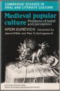 Medieval popular culture : problems of belief and perception.