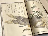 画本虫撰　初摺本　復刻