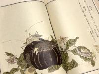 画本虫撰　初摺本　復刻