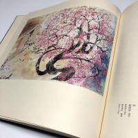 定本 前田青邨画集