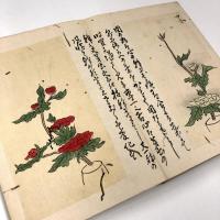 青山御流挿花活花伝書　一括