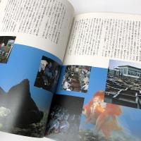 金魚グラフィティ KINGYO GRAFFITI