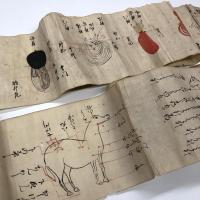 絵入馬医書