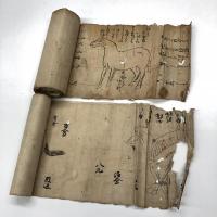 絵入馬医書