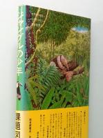 ジャングルの少年