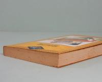 緑衣の鬼　江戸川乱歩推理文庫 18