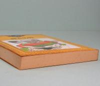 緑衣の鬼　江戸川乱歩推理文庫 18