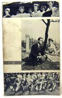 現代フランス映画　河出新書写真篇16
