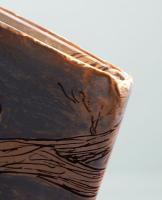 くんちゃんのだいりょこう　岩波の子どもの本