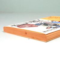 ホピの国へ―アメリカインディアンに学ぶ　広済堂文庫