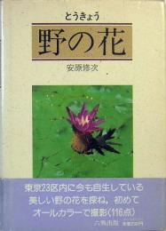 とうきょう　野の花