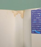 天使のおそれ 新版：聖なるもののエピステモロジー