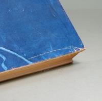 レオンティーヌ・ザンタへの手紙　科学と信仰の試練