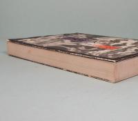 日本瞥見記　上　