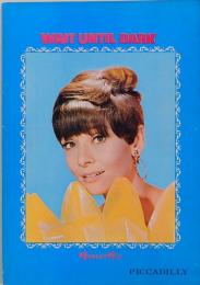 映画パンフレット　暗くなるまで待って piccadilly