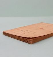 シュペルヴイエル詩集　新潮文庫 835