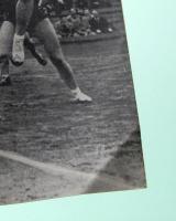 27年度全日本バレーボール　東西選抜男女対抗戦　プログラム