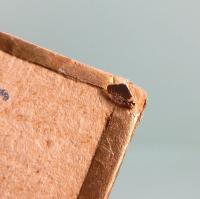 蝶々夫人　中原淳一複製画