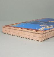 文藝　夏季号　1996年　特集・ほんたうのほんたうの宮澤賢治