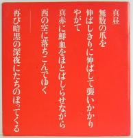 太郎爆発　岡本太郎　生命・空間のドラマ　サイン入り
