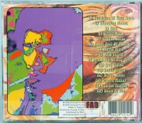 CD  Jimi Hendrix Experience／RARE AS LOVE　ジミ・ヘンドリックス