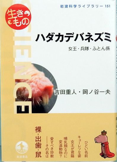 ハダカデバネズミ 女王 兵隊 ふとん係 岩波科学ライブラリー 151 吉田重人 岡ノ谷一夫 サムタイム 古本 中古本 古書籍の通販は 日本の古本屋 日本の古本屋 ハダカデバネズミ 女王 兵隊 ふとん係 岩波科学ライブラリー 151 吉田重人 岡ノ谷一夫 サムタイム 古本 中古本 古書籍の通販は 日本の古本屋 日本の古本屋