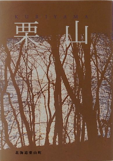 岳飛伝 全17巻 ハードカバー(北方謙三) / サムタイム / 古本