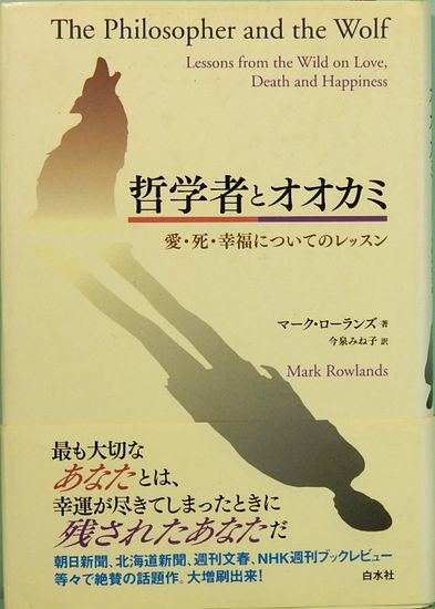 アメリカ現代詩101人集(D・W・ライト：編 沢崎順之助／江田孝臣