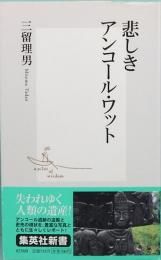 悲しきアンコール・ワット　集英社新書 0256B