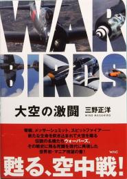 大空の激闘 WAR BIRDS