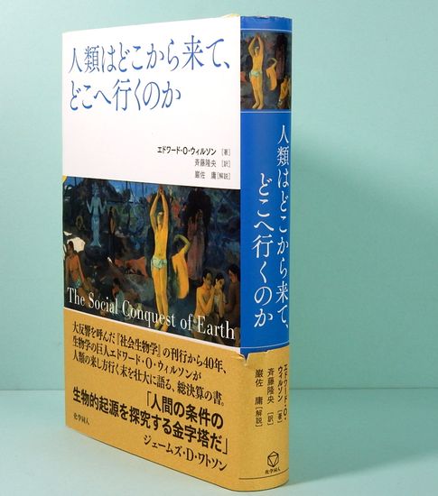 何処から来て、何処へ行くのか