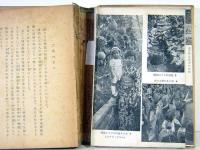 私たちの野菜畑　改訂版