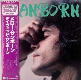 LPレコード　デイヴィッド・サンボーン／SANBORN  メロー・サンボーン