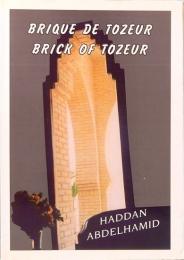 Brique de Tozeur Brick Of Tozeur