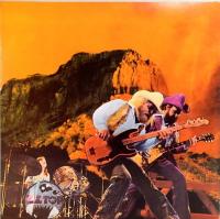 LPレコード　ZZ TOP／TEJAS　テハス　US盤