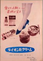 映画パンフレット　さすらいの狼
