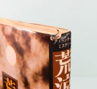 荒涼山河風ありて　アドベンチャー・ミステリー