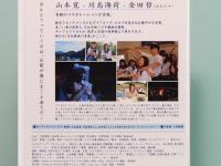 DVD　映画　私の優しくない先輩