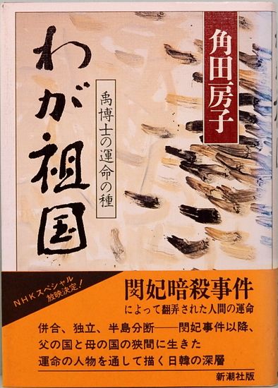入門 超ひも理論 物理学の最終理論をやさしく解説！(広瀬立成