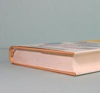 われらの生涯の最悪の年
