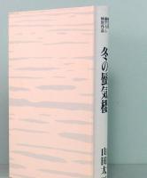 冬の蜃気楼