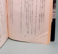 ぶっつけ本番　ニュース映画の男たち