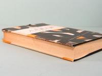 大井憲太郎　人物叢書 128