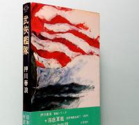 武侠艦隊　